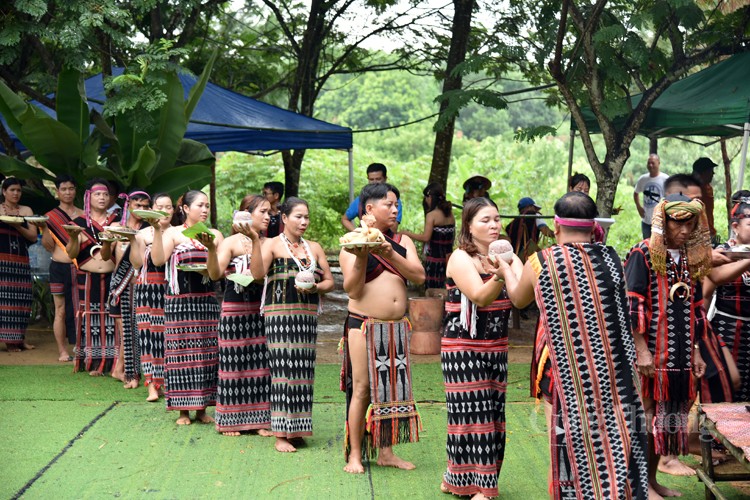 Lễ hội mừng lúa mới của đồng bào Cơ Tu Lễ hội mừng lúa mới của đồng bào Cơ Tu