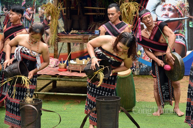 Lễ hội mừng lúa mới của đồng bào Cơ Tu Lễ hội mừng lúa mới của đồng bào Cơ Tu