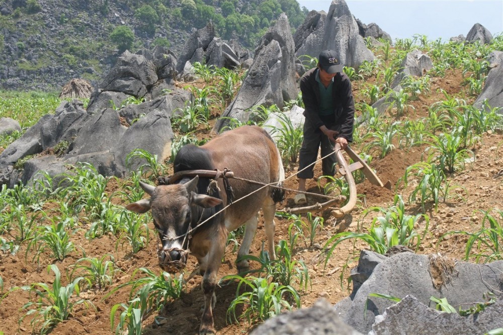 Đắk Nông: Phấn đấu nâng cao mức sống đồng bào dân tộc thiểu số