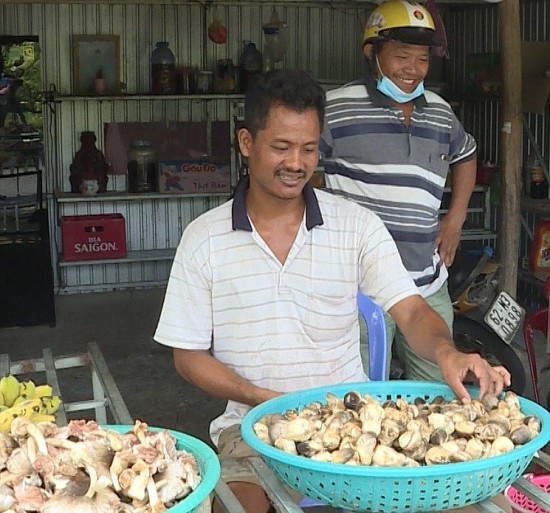 Đồng bào Khmer vươn lên thoát nghèo nhờ trồng nấm rơm