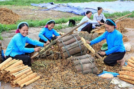 Tỉnh Quảng Ninh: Phát triển kinh tế - xã hội vùng đồng bào dân tộc thiểu số