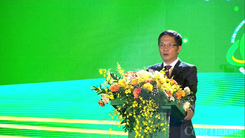 Uỷ viên Bộ Chính trị, Trưởng ban Kinh tế Trung ương Trần Tuấn Anh phát biểu tại Lễ trao Giải.