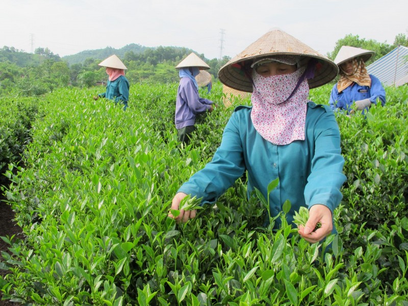Đưa sản phẩm của đồng bào dân tộc thiểu số và miền núi lên tầm cao mới