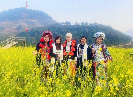 Chiêm ngưỡng mùa hoa cải vàng Hồng Thái