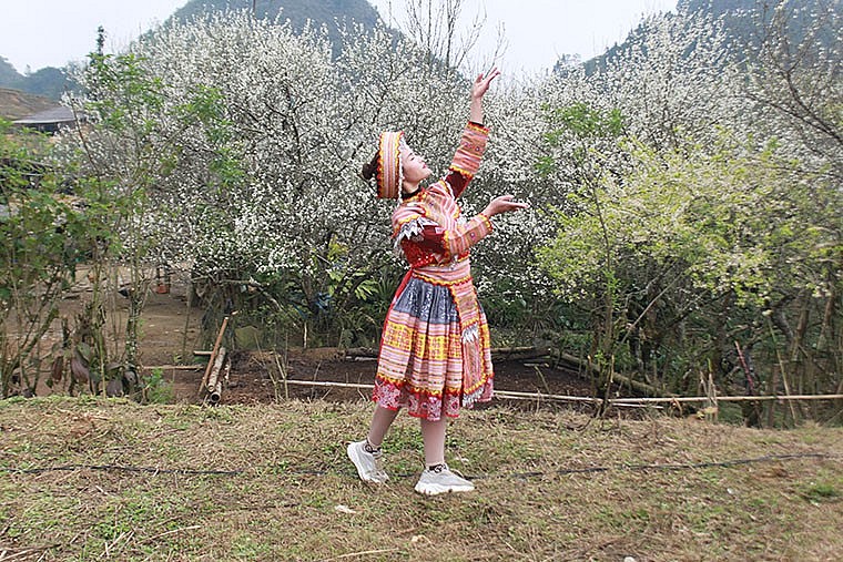 Lào Cai: Khai mạc chương trình 
