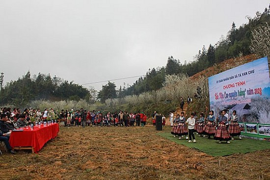 Lào Cai: Khai mạc chương trình " Sắc mận cao nguyên trắng” Bắc Hà năm 2023