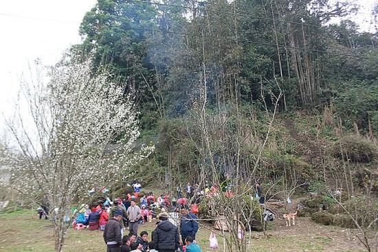 Đồng bào Mông Tả Văn Chư (Bắc Hà) gắn bảo vệ rừng với phát triển du lịch