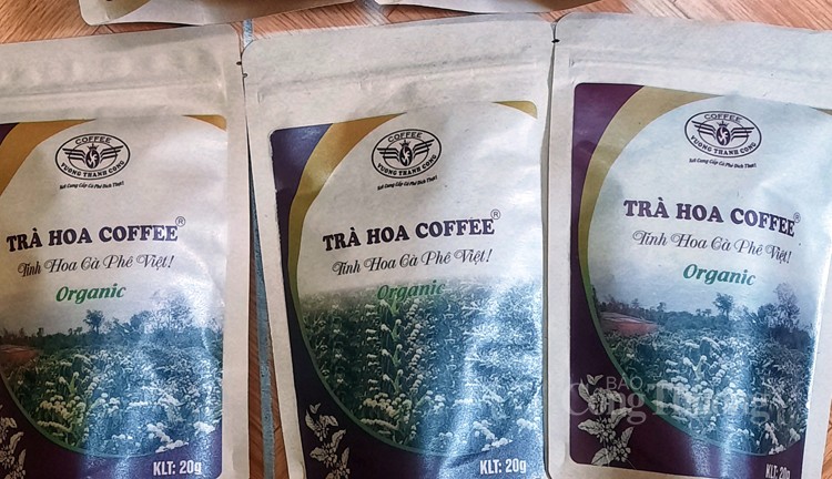 Nồng nàn hương sắc hoa cà phê vùng đất Tây Nguyên Nồng nàn hương sắc hoa cà phê vùng đất Tây Nguyên