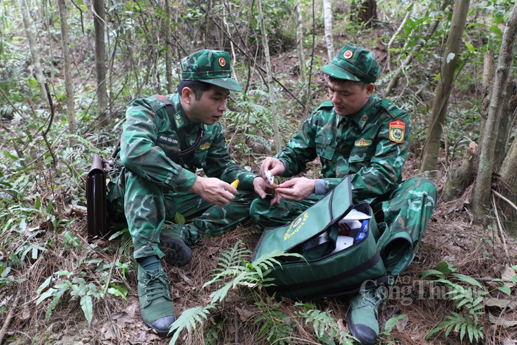 Tự hào những thầy thuốc mang quân hàm xanh miền biên viễn Tự hào những thầy thuốc mang quân hàm xanh miền biên viễn