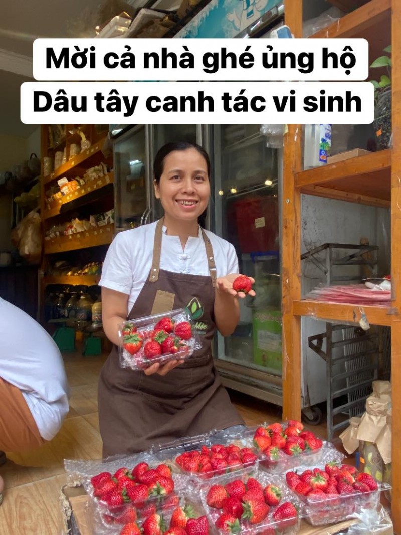 Cơ hội thưởng thức Dâu tây Mộc Châu đa dạng kích cỡ, giá siêu rẻ