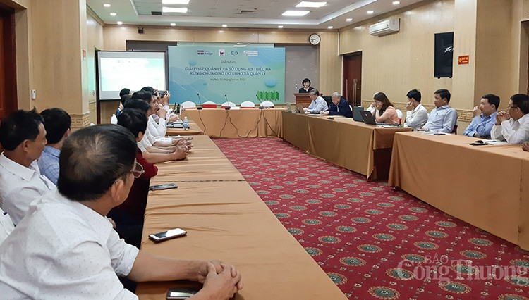 Vẫn còn hơn 3,3 triệu ha rừng và đất rừng chưa có chủ