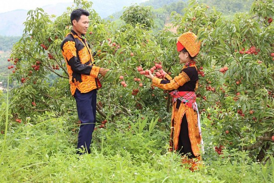 Bắc Giang: Nâng cao đời sống người dân vùng đồng bào dân tộc thiểu số và miền núi