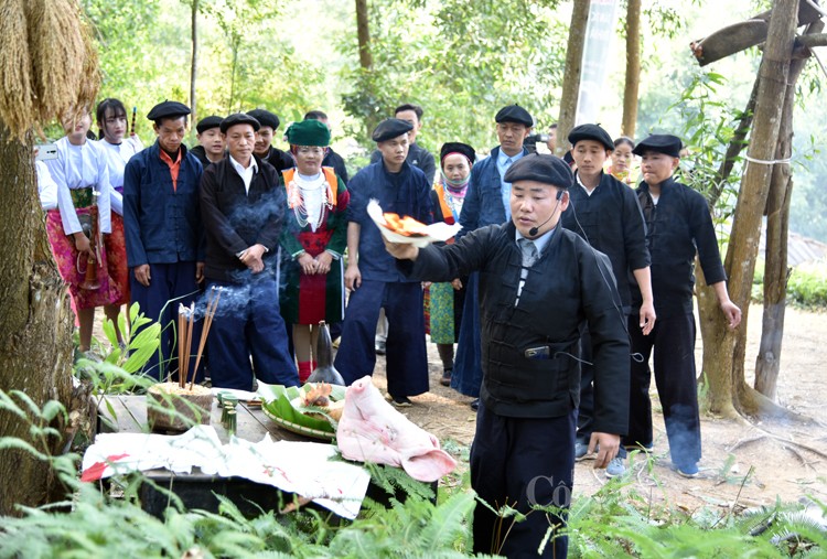 Nghi lễ cúng rừng: Nâng cao ý thức bảo vệ rừng của đồng bào Tây Bắc Nghi lễ cúng rừng: Nâng cao ý thức bảo vệ rừng của đồng bào Tây Bắc