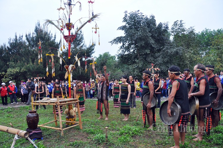 Cây nêu trong văn hóa của đồng bào Tây Nguyên