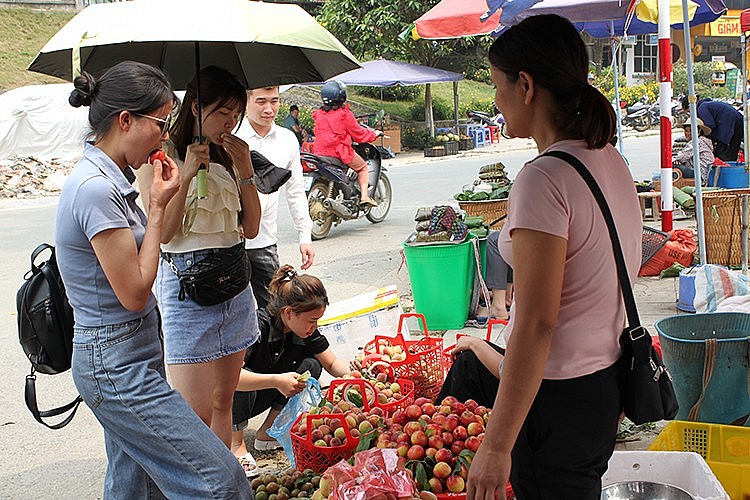 các khu bày bán quả Đào luôn thu hút cánh phụ nữ lên Bắc Hà đi chợ thưởng thức và mua quả về làm quà 
