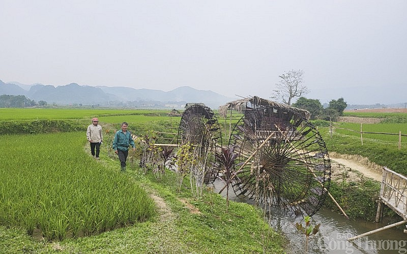 Những 