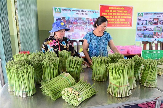 Phát triển kinh tế - xã hội vùng đồng bào DTTS & MN: Thay đổi từ vùng đồng bào dân tộc Chăm