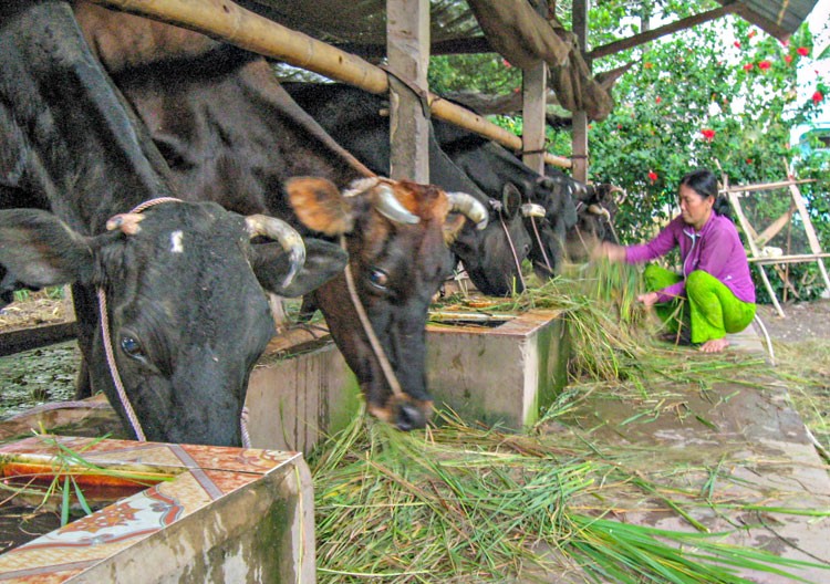 Sơ kết 3 năm thực hiện Chương trình MTTQ phát triển vùng đồng bào DTTS và miền núi phía Nam