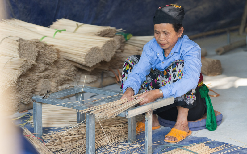 Bài 1: Vì sao sống ở