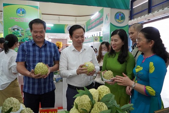 Lạng Sơn: Đa dạng giải pháp tiêu thụ nông sản cho bà con vùng dân tộc thiểu số, miền núi