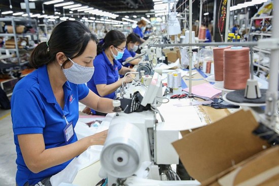 Đàm phán FTA Việt Nam - Mercosur: Động lực khai thác thị trường xuất khẩu khu vực Mỹ Latinh