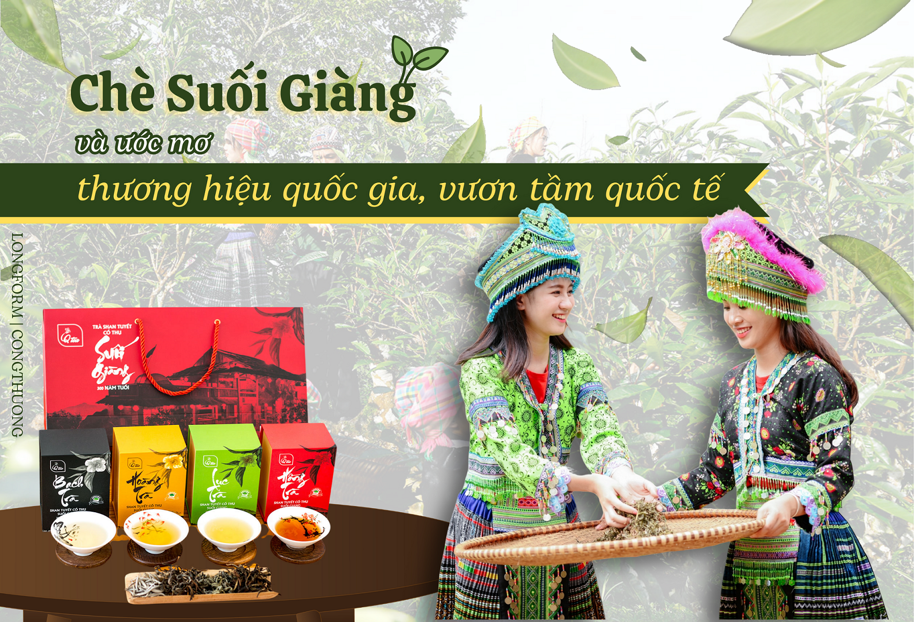 Longform | Chè Suối Giàng và ước mơ thương hiệu quốc gia, vươn tầm quốc tế