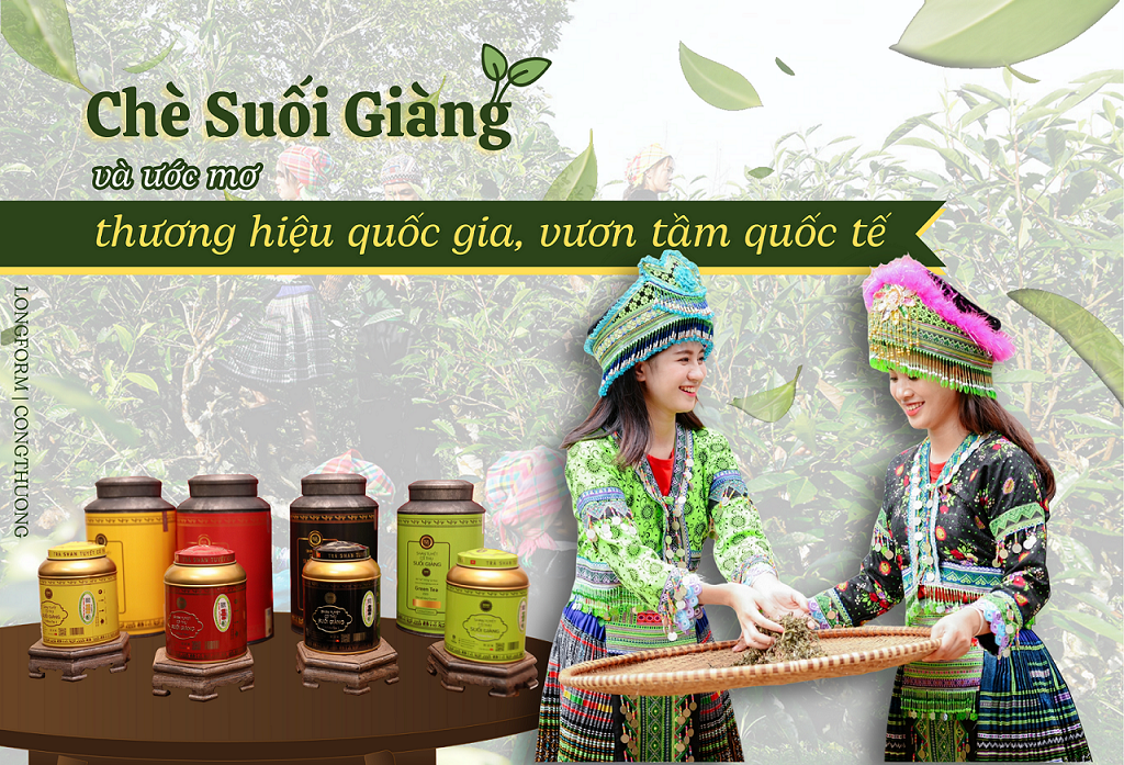 Longform | Chè Suối Giàng và ước mơ thương hiệu quốc gia, vươn tầm quốc tế