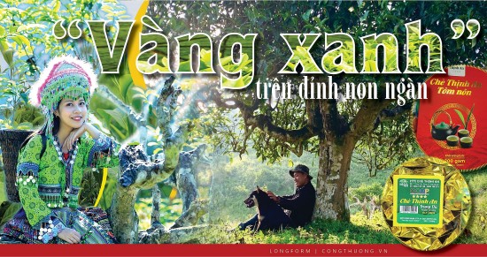 ‘Vàng xanh’ trên đỉnh non ngàn