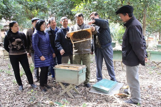 Mật ong Cao Bằng: ‘Gieo’ thương hiệu, ‘gặt’ đầu ra bền vững