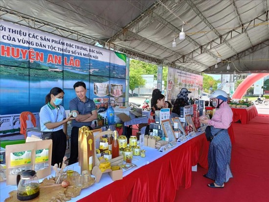 Bình Định bắc nhịp cầu tiêu thụ nông sản vùng cao