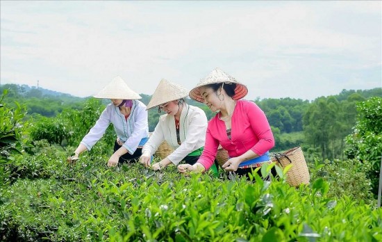 Chính sách giảm nghèo tạo dựng sinh kế bền vững cho đồng bào dân tộc Thủ đô