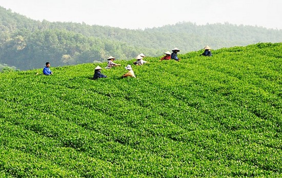 Thời tiết hôm nay 4/5: Tây Bắc Bộ có mưa đá