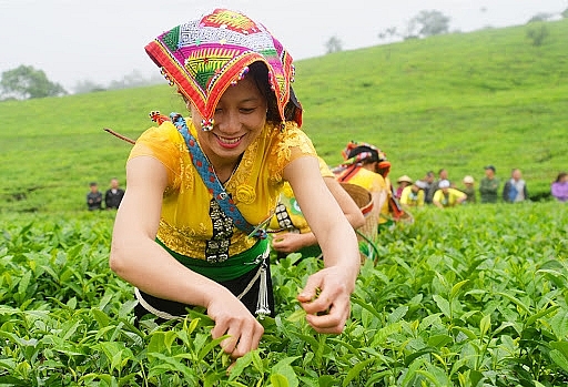 quyet liet vao cuoc nang cao chat luong song cua dong bao dan toc thieu so