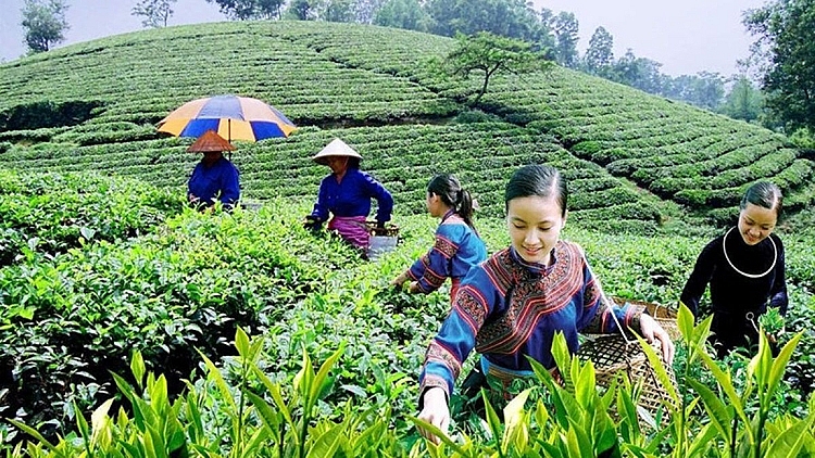 Cần đổi mới công tác truyền thông về dân tộc, tôn giáo