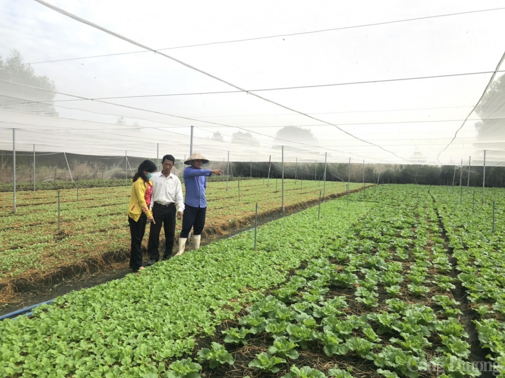Bà Rịa - Vũng Tàu: Nhiều chính sách an dân, phát triển kinh tế đã đến với người đồng bào