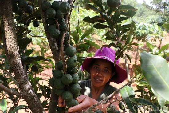 dak nong tung buoc nang cao doi song dong bao dan toc thieu so