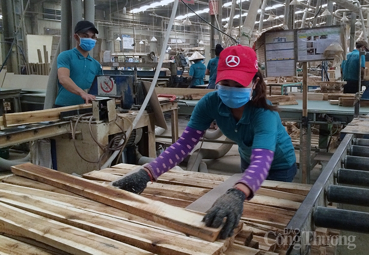 Xuất khẩu gỗ và sản phẩm gỗ sang thị trường Ấn Độ tăng trưởng 3 con số