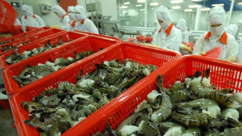 Xuất khẩu tôm tháng 8/2023: Điểm tên các thị trường tiếp đà tăng trưởng dương