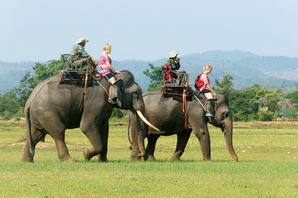 Để thành phố Buôn Ma Thuột phát huy vai trò trung tâm Tây Nguyên