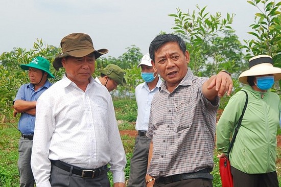 Đảng bộ Công ty cao su Mang Yang: Điểm sáng và hiệu quả từ công tác lãnh đạo toàn diện