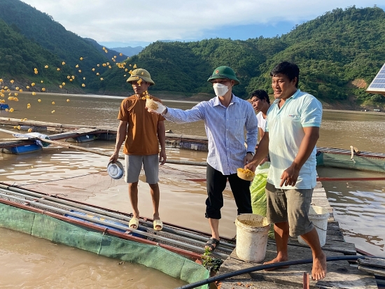 Người dân Nậm Nhùn: Loay hoay tìm thị trường cho nghề nuôi cá lồng