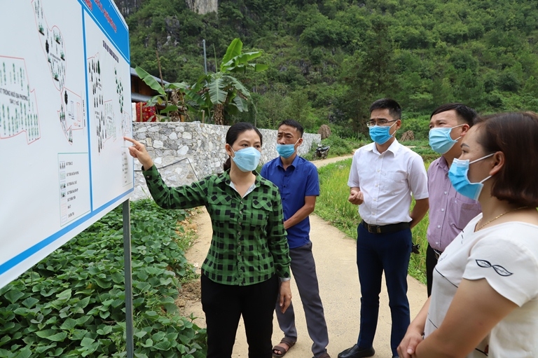 Mèo Vạc: Đẩy mạnh thu hút đầu tư, phát triển lĩnh vực thế mạnh