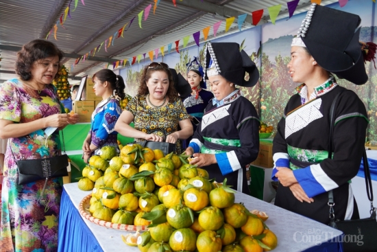 no luc nang cao doi song kinh te xa hoi vung dong bao dan toc thieu so va mien nui