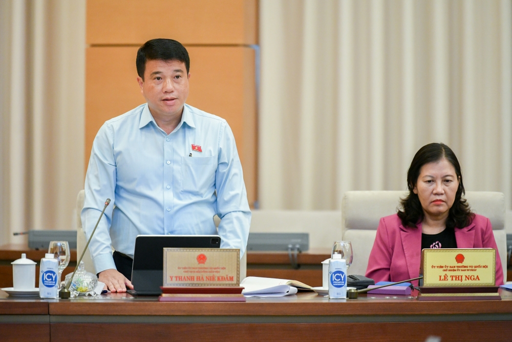 Phát triển kinh tế - xã hội vùng đồng bào dân tộc thiểu số, miền núi: Tránh chính sách tốt nhưng khâu thực hiện chậm, không đồng bộ