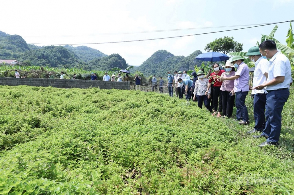 Xây dựng nông thôn mới giai đoạn 2021-2025: Những con số "biết nói"