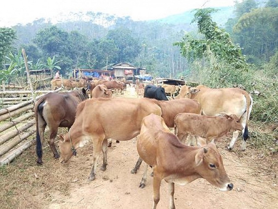 Chính sách của Đảng và Nhà nước làm thay đổi đời sống đồng bào dân tộc thiểu số ở Thanh Hóa