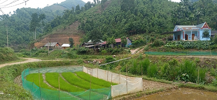 Diện mạo nông thôn Khe Tắm