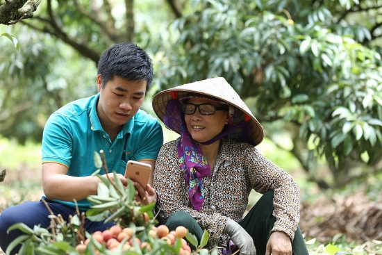 Kết nối đưa hộ sản xuất nông nghiệp lên sàn thương mại điện tử