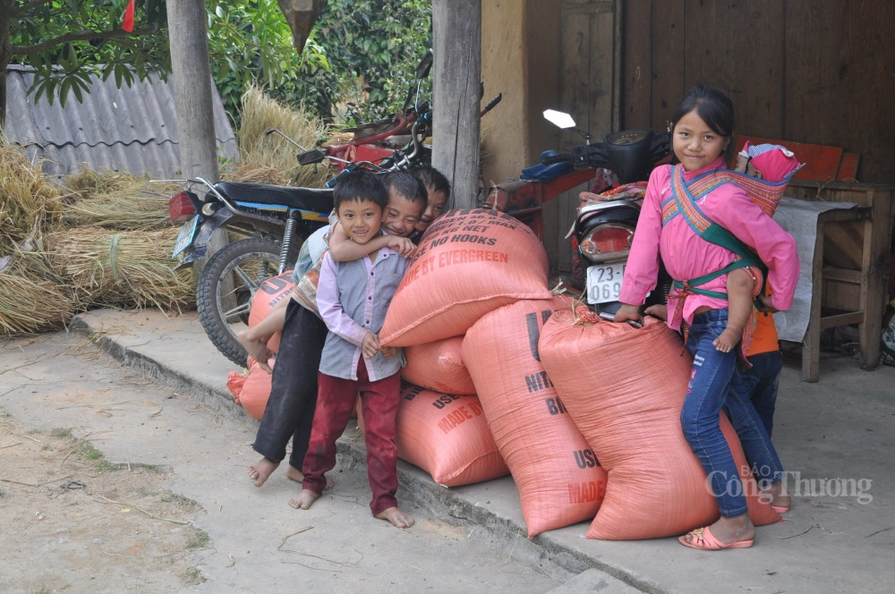 Đời sống đồng bào dân tộc thiểu số ở tỉnh Hà Giang đang ngày thêm ấm no