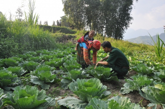 Bộ đội Biên phòng tỉnh Hà Giang: Hành trình 10 năm giúp đồng bào vượt khó